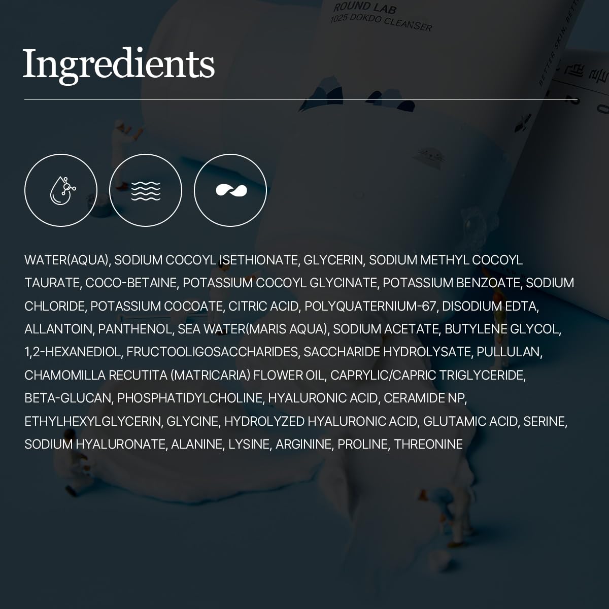 Round Lab 1025 Dokdo Cleanser